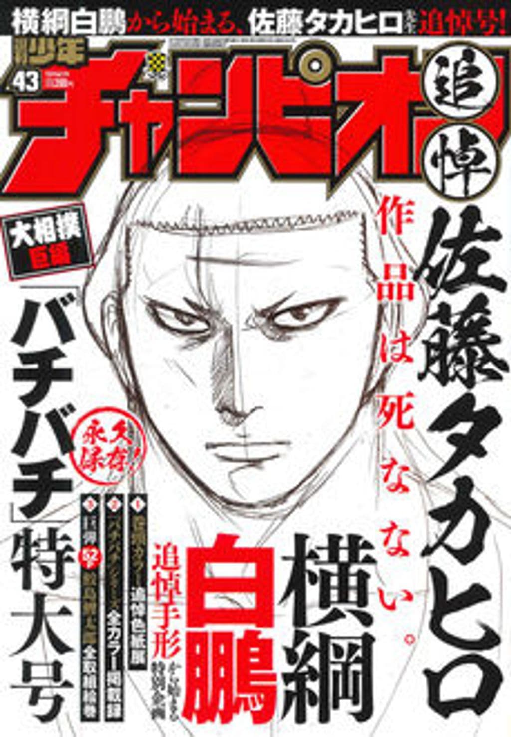 No.43 表紙