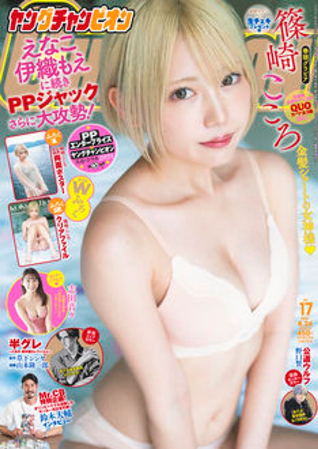 No17 表紙