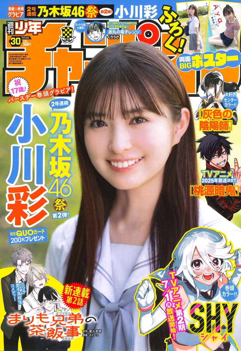 No.30 表紙