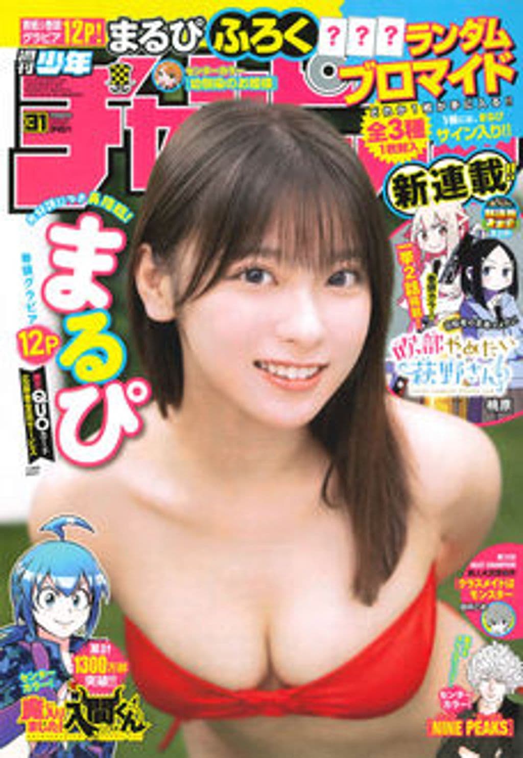 No.31 表紙