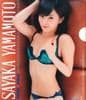 山本彩 特製クリアファイル