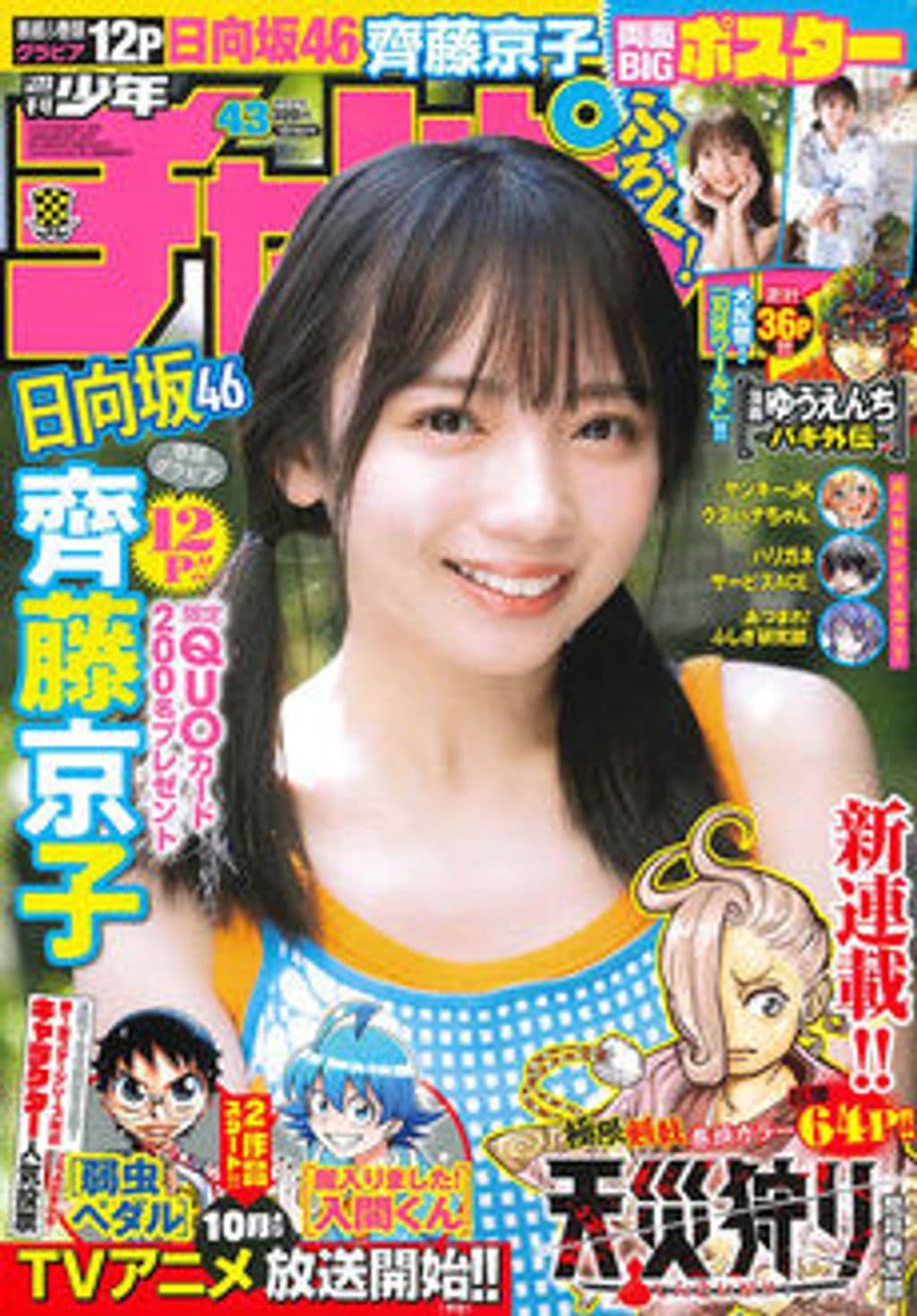 No.43 表紙
