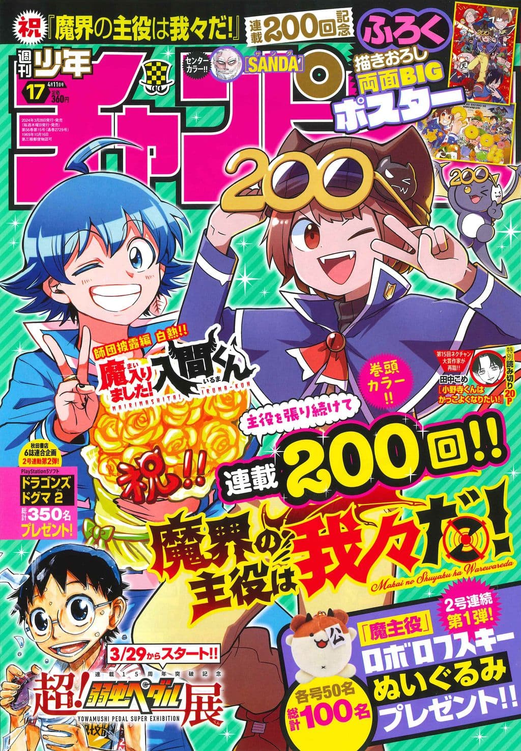 No.17 表紙