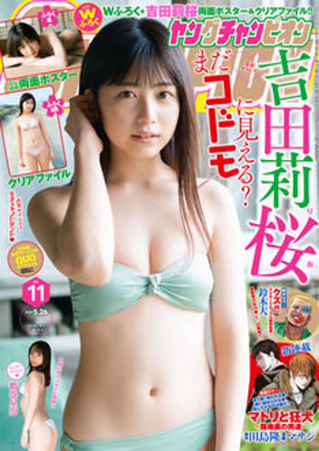 No11 表紙