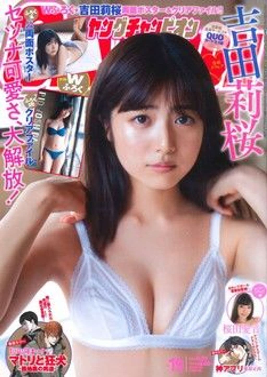 No19 表紙