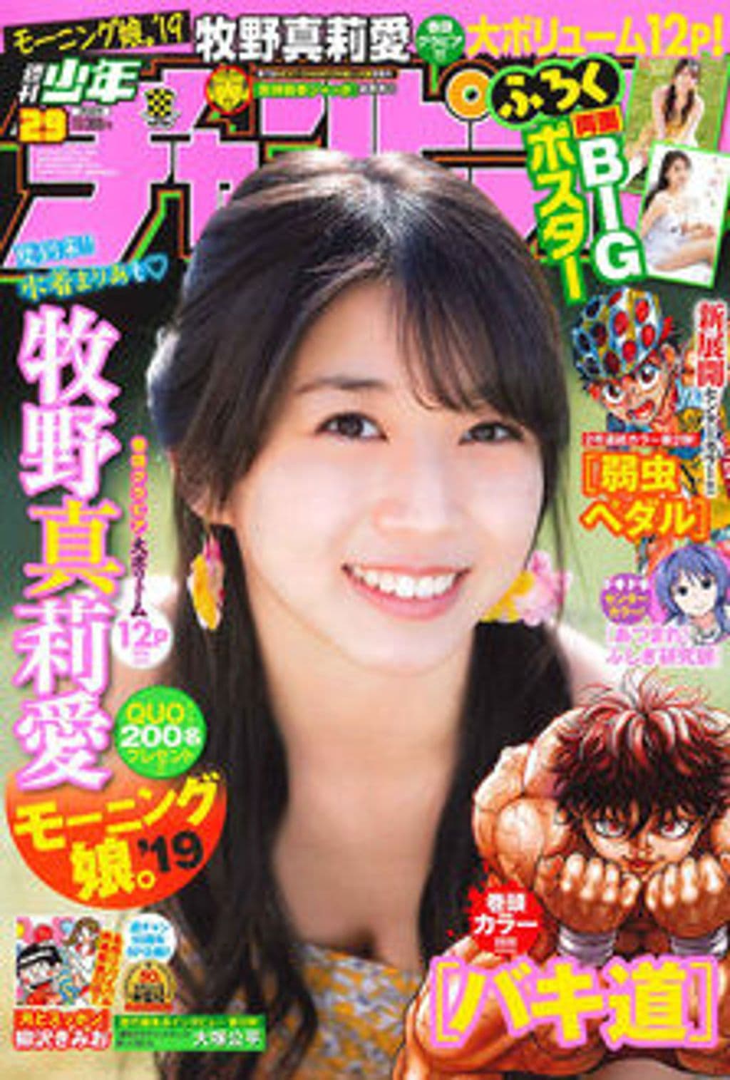 No.29 表紙