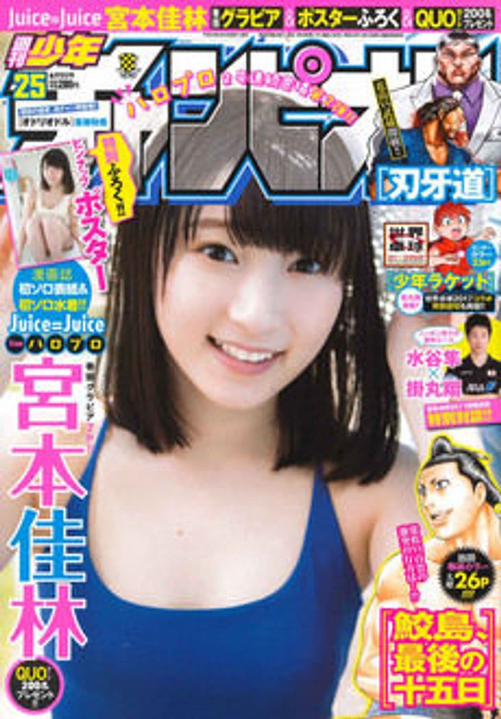No.25 表紙