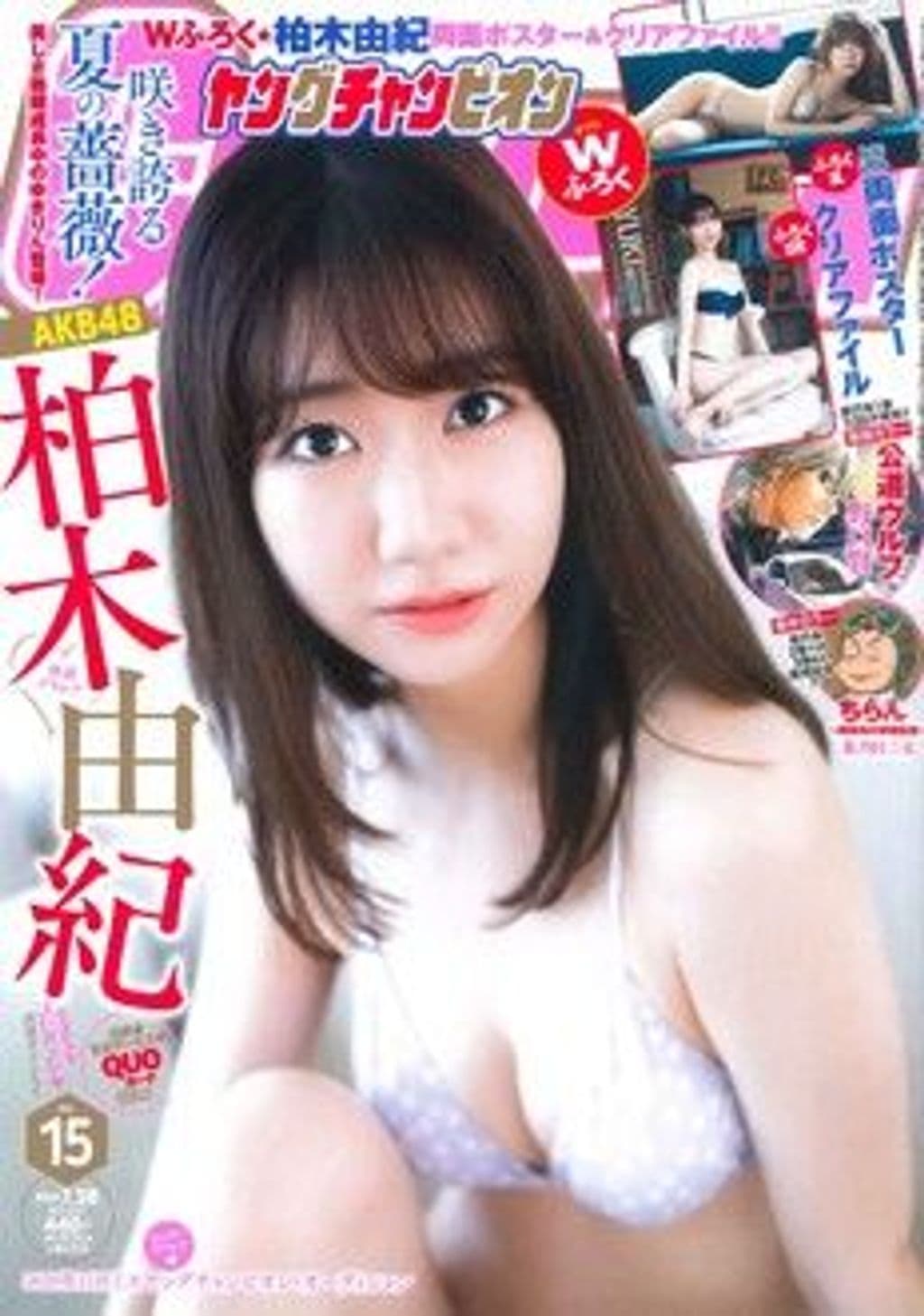 No15 表紙