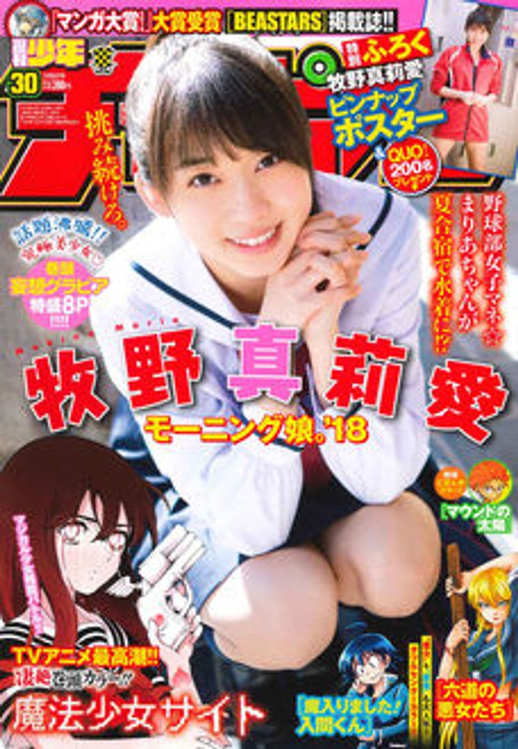 No.30 表紙