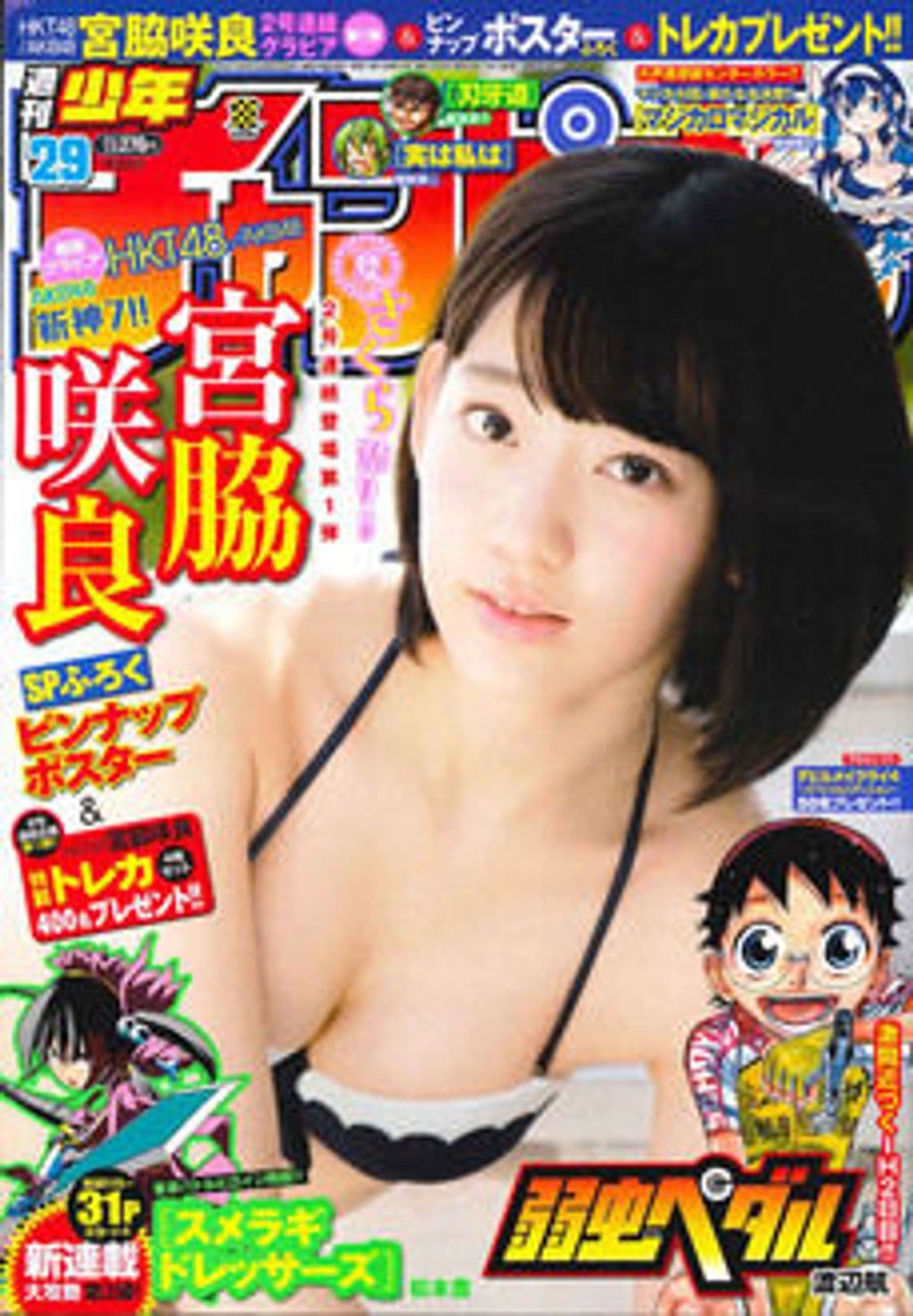 No.29 表紙