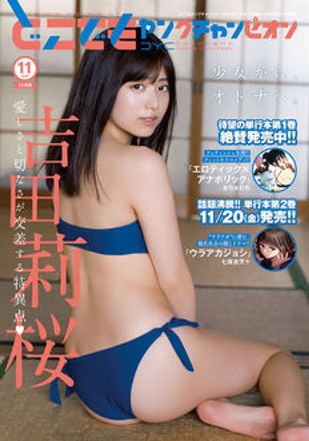 11月号 表紙