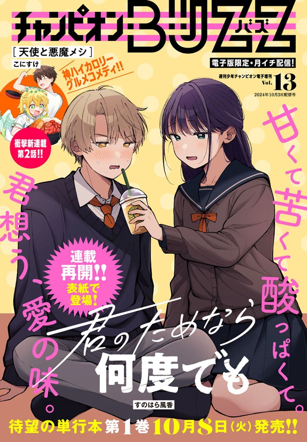 Vol.13 表紙