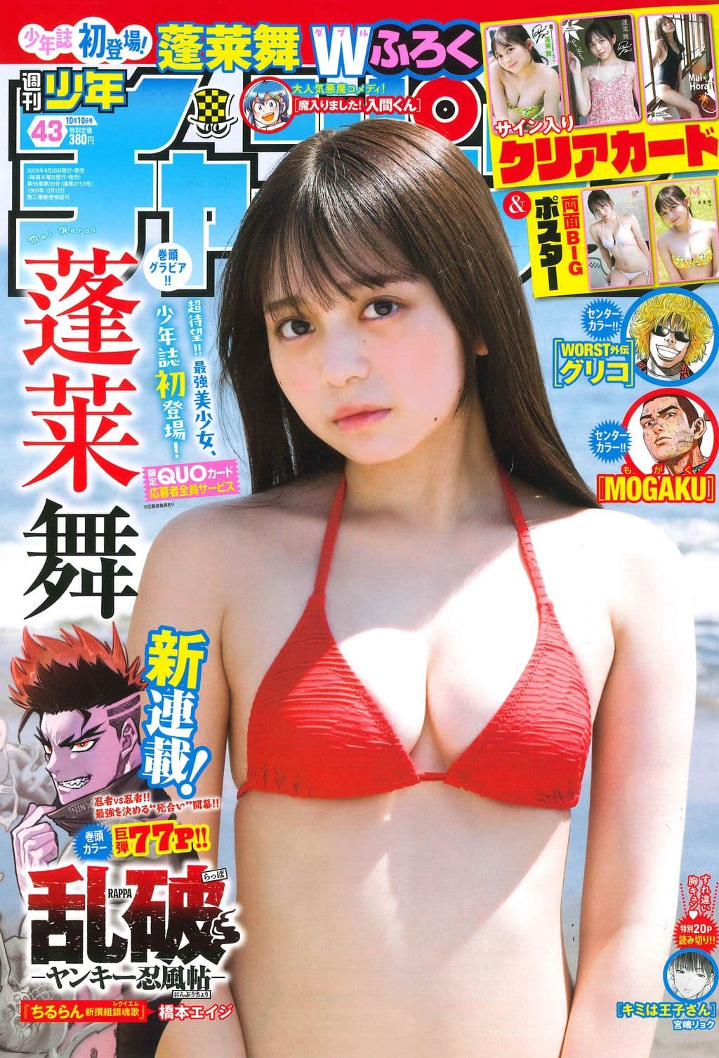 No.43 表紙