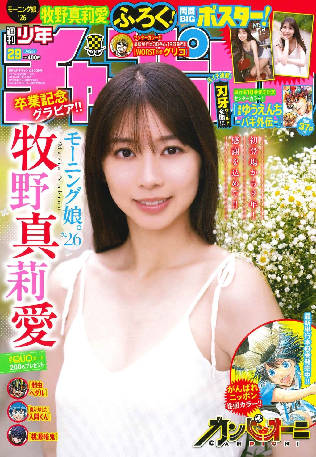 No.29 表紙