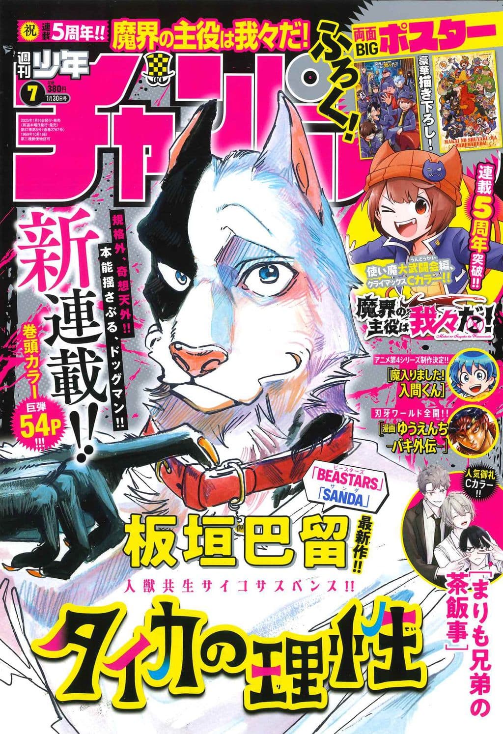 No.7 表紙