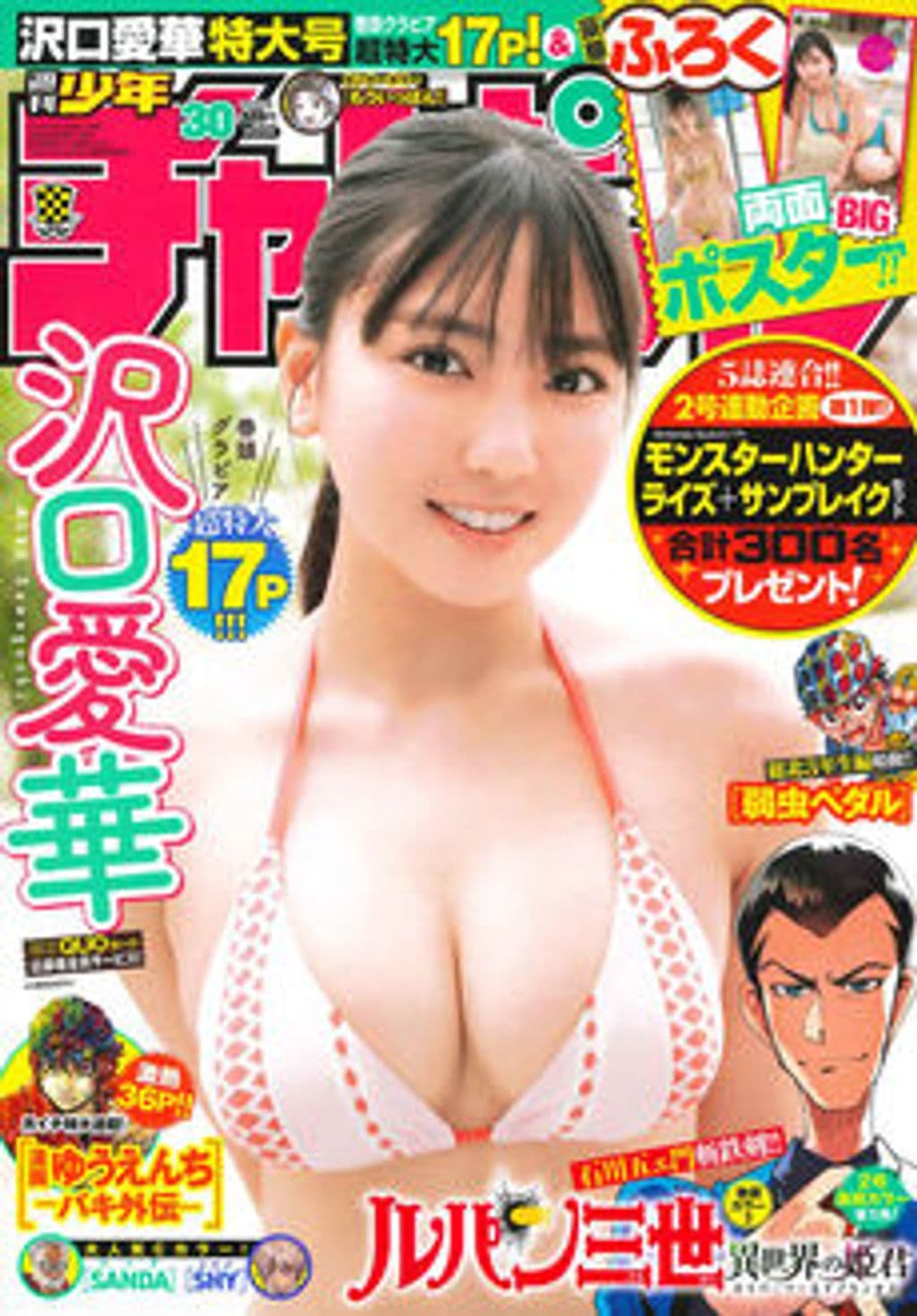No.30 表紙