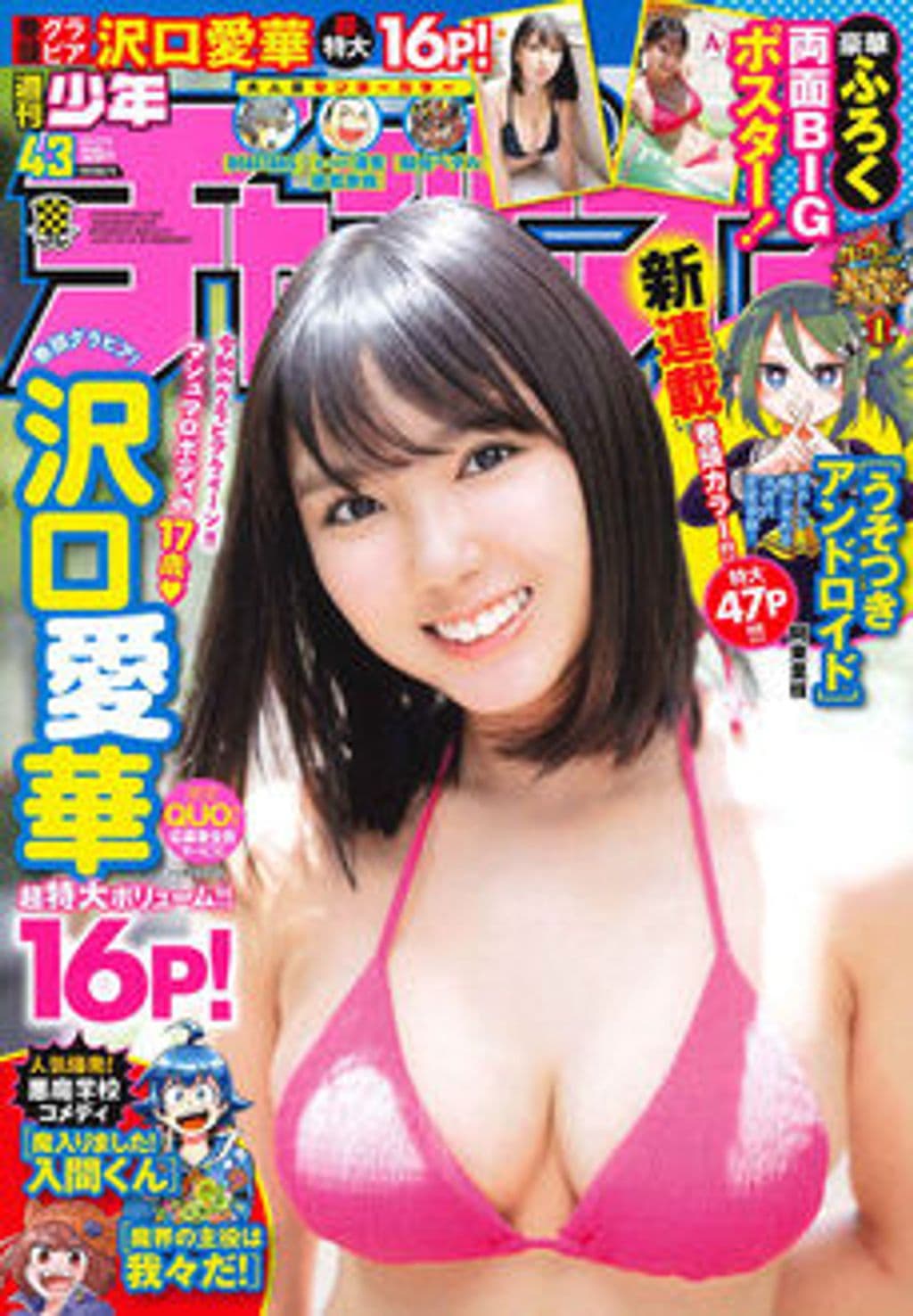No.43 表紙
