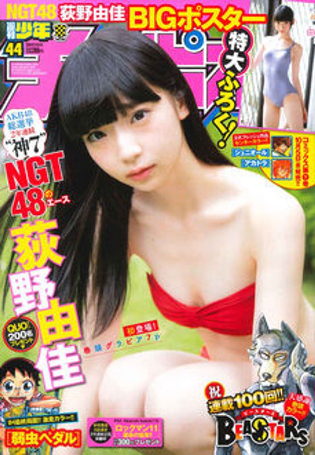 No.44 表紙