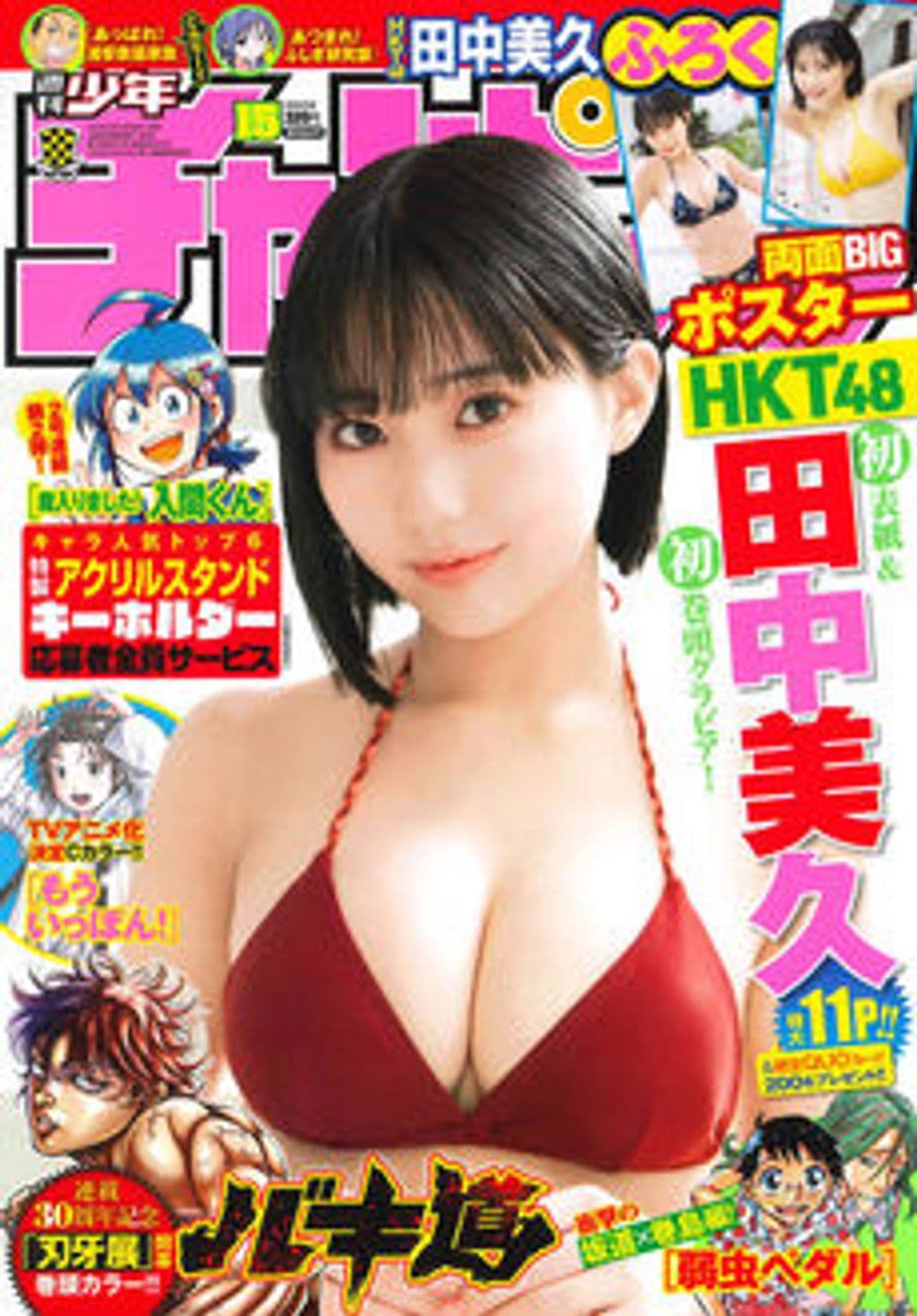 No.15 表紙
