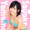 山本彩 特製クリアファイル